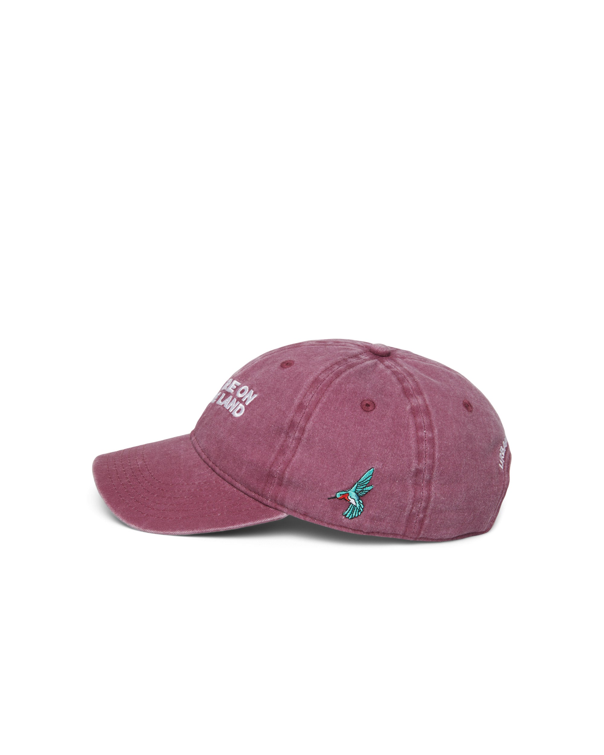 'You Are On Native Land' Organic Cotton Cap — Statement Awareness Hat